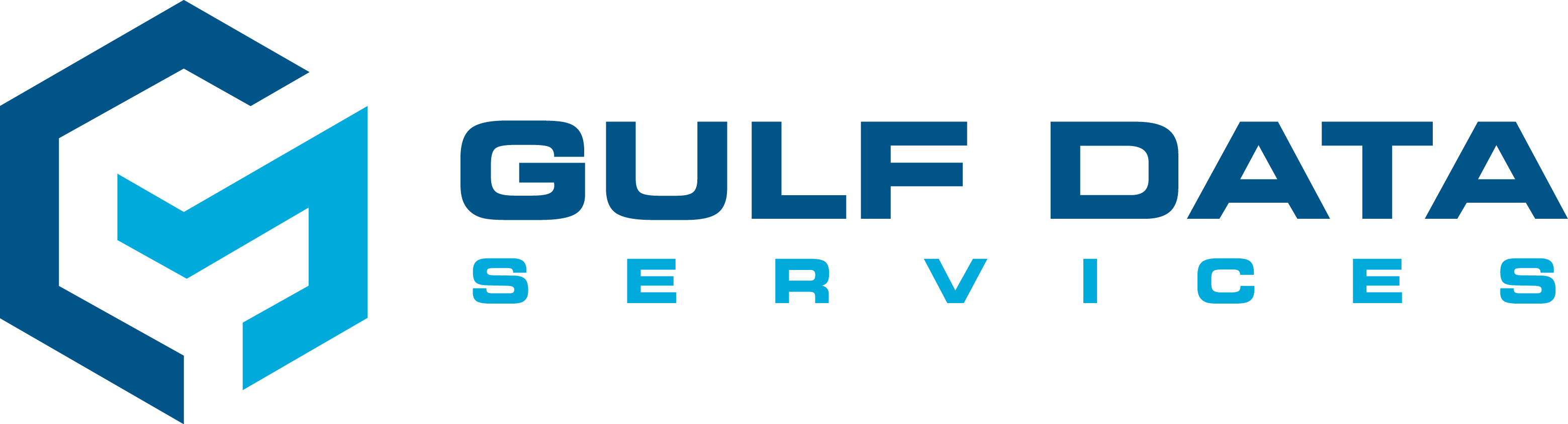 Gulf Data Services